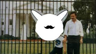 Bamboleo x Narcos (Nalo Remix) [BASS BOOSTED]