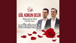 Gül Kokun Gelir (Feat. Emrullah Demir) (Müziksiz İlahi)