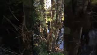 ✅ Ruta del Río Castro 1 Parte