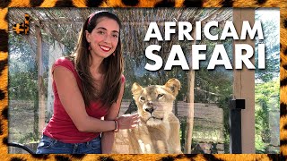 AFRICAM SAFARI / Ale Toledano 4K