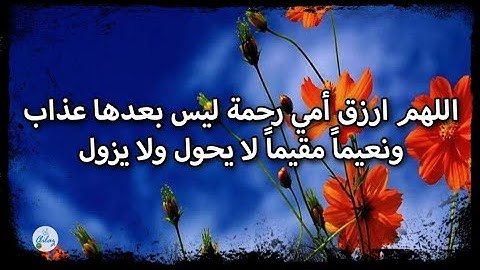 سورة فاطر من الآية ١ إلى الآية ١٠