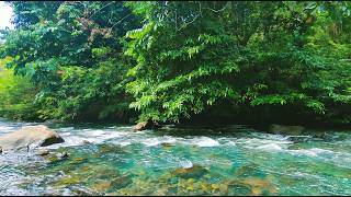 Calm River Flow, No Talking No Music | Deep Sleep Sounds Cozy Ember ASMR 🌿