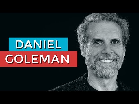 DANIEL GOLEMAN E A INTELIGÊNCIA EMOCIONAL | RODRIGO FONSECA