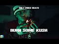 Burn some kush riddim  reggae beat instrumental 2023  only vibes beats