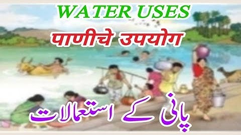 BRIDGE COURSE DAY 8 STD 3 EVS 1 جماعت سوّم  ماحول کا مطالعہ8برج کورس دن