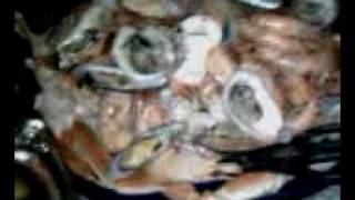 Plate of Seafood I ate