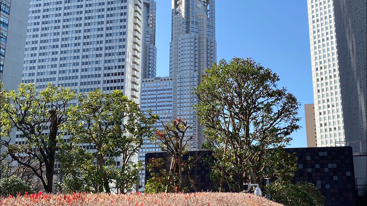 【西新宿】ポール・バセット　SOMPO美術館　都庁展望室　新宿中央公園