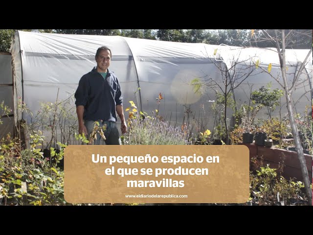 Loading video