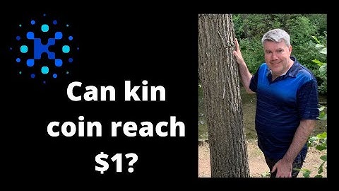Everything You Ever Wanted to Know About Can Kin Coin Reach $1
