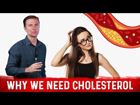 Why Cholesterol is so Biologically Important