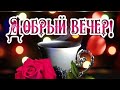 Добрый Вечер, Песня ! Уюта и Тепла в этот Чудесный  Вечер! Сказачно Красивая музыкальная открытка.