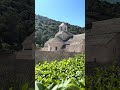 cloches Sénanque (f- 84), Abbaye, début de la messe