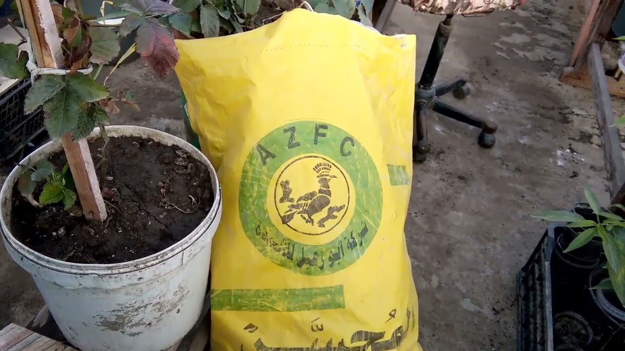 نسبةالphوالاملاح في التربه ورفع نسبة الحامضيه :اهم فوائد الجبس الزراعي