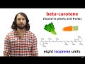Lipids Part 1: TAGs, Fatty Acids, and Terpenes