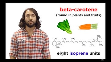 Lipids Part 1: TAGs, Fatty Acids, and Terpenes
