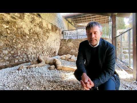 Porta Nocera: la necropoli e i calchi delle vittime dell'eruzione: intervista a Gabriel Zuchtriegel