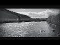 Our Public Lands: Are you a “Fly Hunter?”| Gun Talk The following video is brought to you courtesy of the Gun Talk Media YouTube Channel. Click the link below to watch it now!