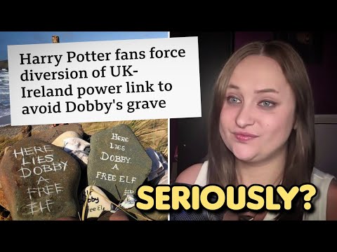 Adult Harry Potter fans MUST be sent to gulag