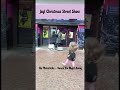 JAYL - Dance the Night Away - Live Street Show Clip - Pt.1 #christmas #jayl #themavericks