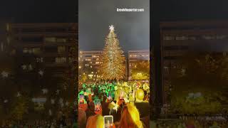 Athens Christmas Tree Illuminated in Syntagma Square