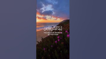 سورة القدر 🌻✨🤍                                   #قرآن #قران_كريم #قران #عبدالرحمن_مسعد #حمزة_بوديب