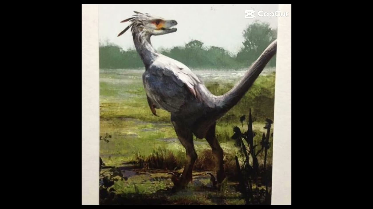 white eagle: never letting you go hawk claw : babe please 