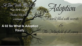 A02 Adoption, How we began and The legacy of that beginning.