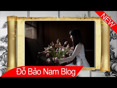 Video Download style Proshow Producer đẹp mới nhất hiệu ứng... - youtube