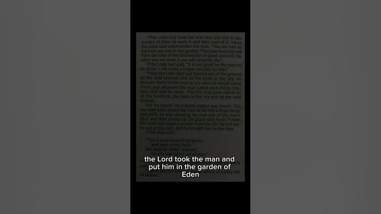 Bible Read Aloud Genesis Chapter 2 NIV YouTube