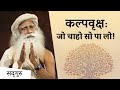 अपनी हर मनोकामना पूरी करने का तरीका #LawOfAttraction | Sadhguru Hindi