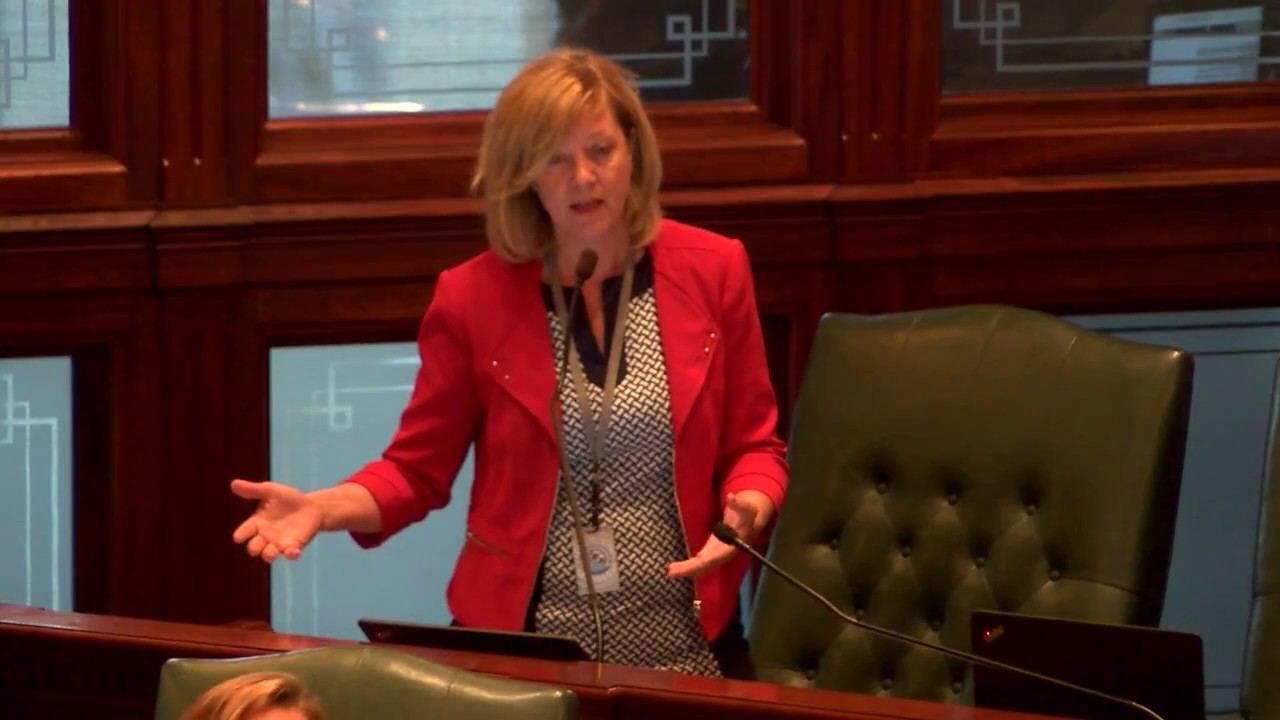 illinois general assembly statutes Rep. Ives response to the Budget bill