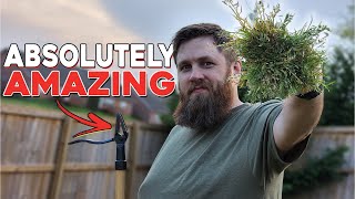 The Ultimate Tool to Get Rid of Weeds / Grampa's Weeder