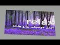 يا لها من موسيقى هادئة جميلة What A Beautiful Relaxing Music 