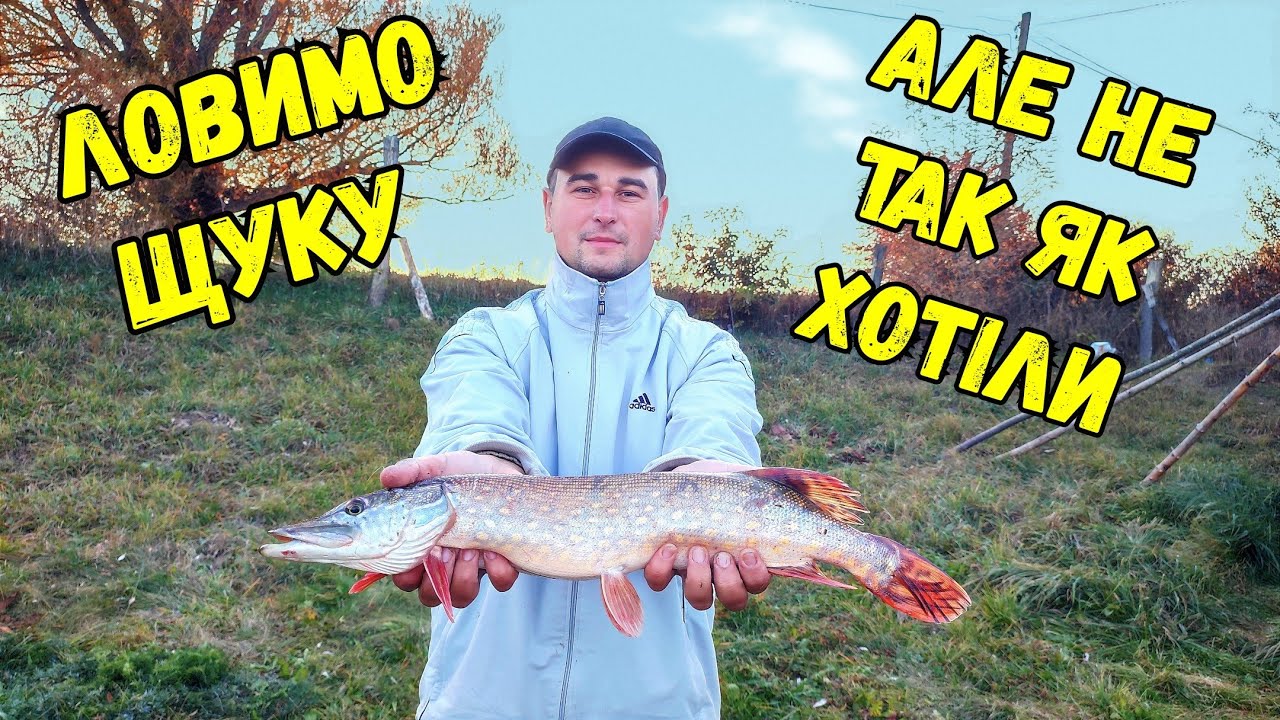 Поїхали по щуку на озеро як на базар