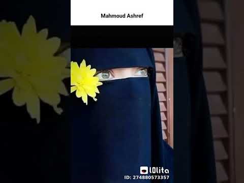 طال سؤالي ماهر زين