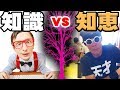 「知識」と「知恵」の違いを暴く！天才天界♪