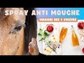 Tuto facile  spray antimouches pour chevaux au vinaigre des 4 voleurs 