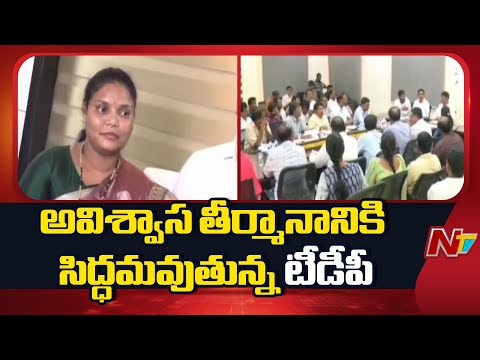 నెల్లూరు నగర మేయర్ స్రవంతికి పదవి గండం | YCP Vs TDP | NTV Telugu - NTVTELUGU