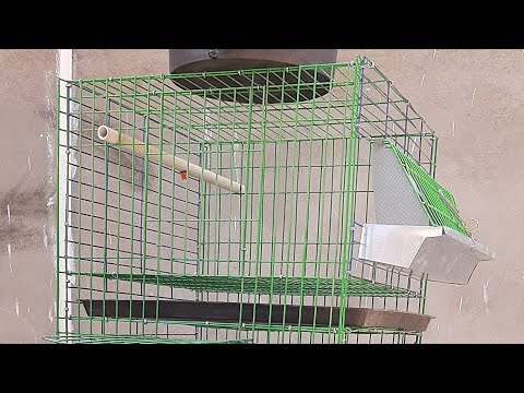 بطارية أرنب ٤ دور ٢ اناث و ١ ذكر و ١ انتاج شرح توضيحي البطاريه المنزلي للارنب