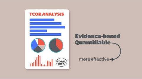 What is Total Cost of Risk?