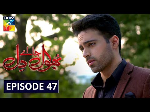 Bhool — Episode 47
