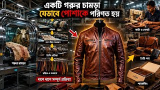 একটি গরুর চামড়া কীভাবে দামি জ্যাকেটে পরিণত হয়? | Leather Jacket Making Process #গরুর_ভিডিও