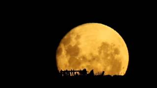 Full Moon Silhouettes