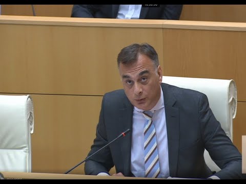 რატომ ისჯება ამ ქვეყანაში ბატონი ირაკლი კანონმორჩილება, მითხარით - უდუმაშვილი ღარიბაშვილს