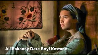 Ali Bakanay “Dere Boyi Kestane”