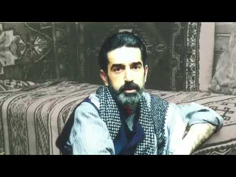 گۆرانیەکی زۆر خۆش نسرین بەهارە بەدەنگی بیتوجان 