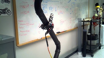 Cmu robot snake