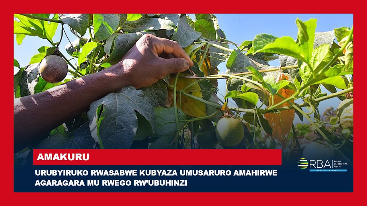 Urubyiruko rwasabwe kubyaza umusaruro amahirwe agaragara mu rwego rw ...