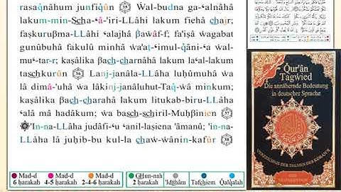 ختمة من مصحف التجويد باللغة الألمانية الصفحة رقم 336