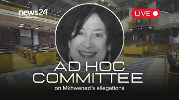 WATCH LIVE | Prof. Mary de Haas appears before ad hoc committee on police interference